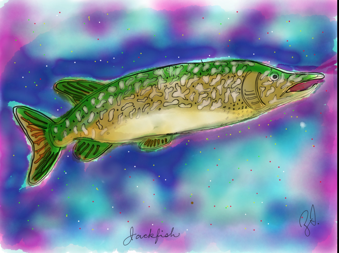 A long northern pike stretches out across the screen with its head pointing to the right and its tail pointing to the left. It has a vibrant emerald green back and dorsal and tail fins, with a strip of olive green along its middle. Its ventral section (belly) is a soft yellow. It has heavy line drawing patterns of splotches and spots along its body. It splashes across a background of royal blue, magenta, and cyan with small yellow, red, blue, and white dots splattered around it.