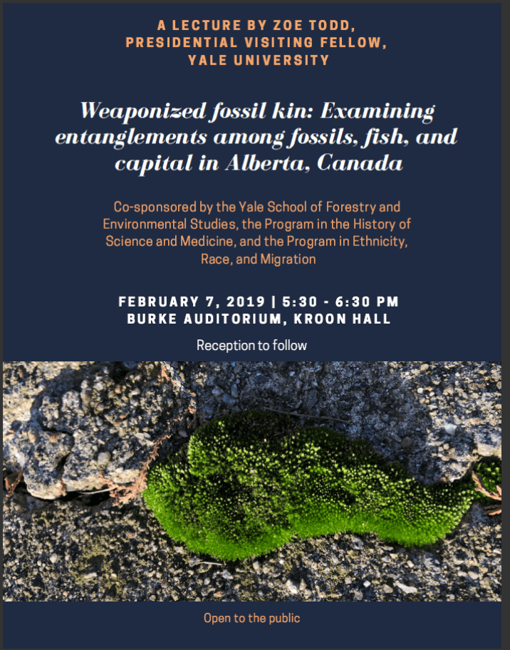 screen shot 2019-01-15 at 12.07.20 pm